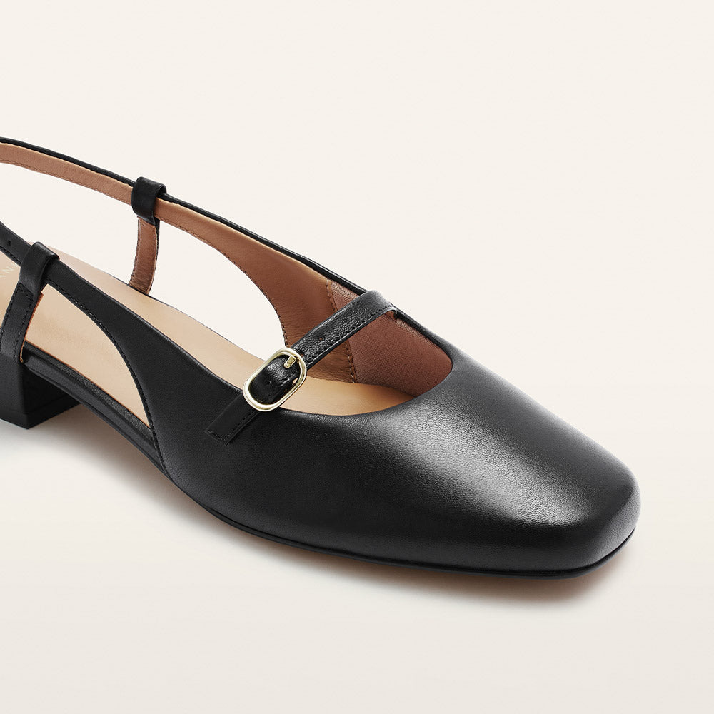 Iris Black