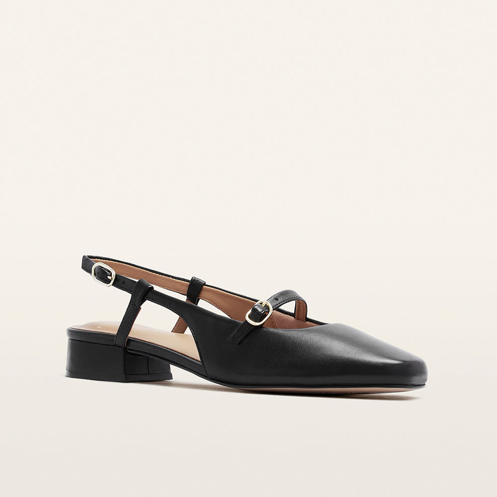 Iris Black