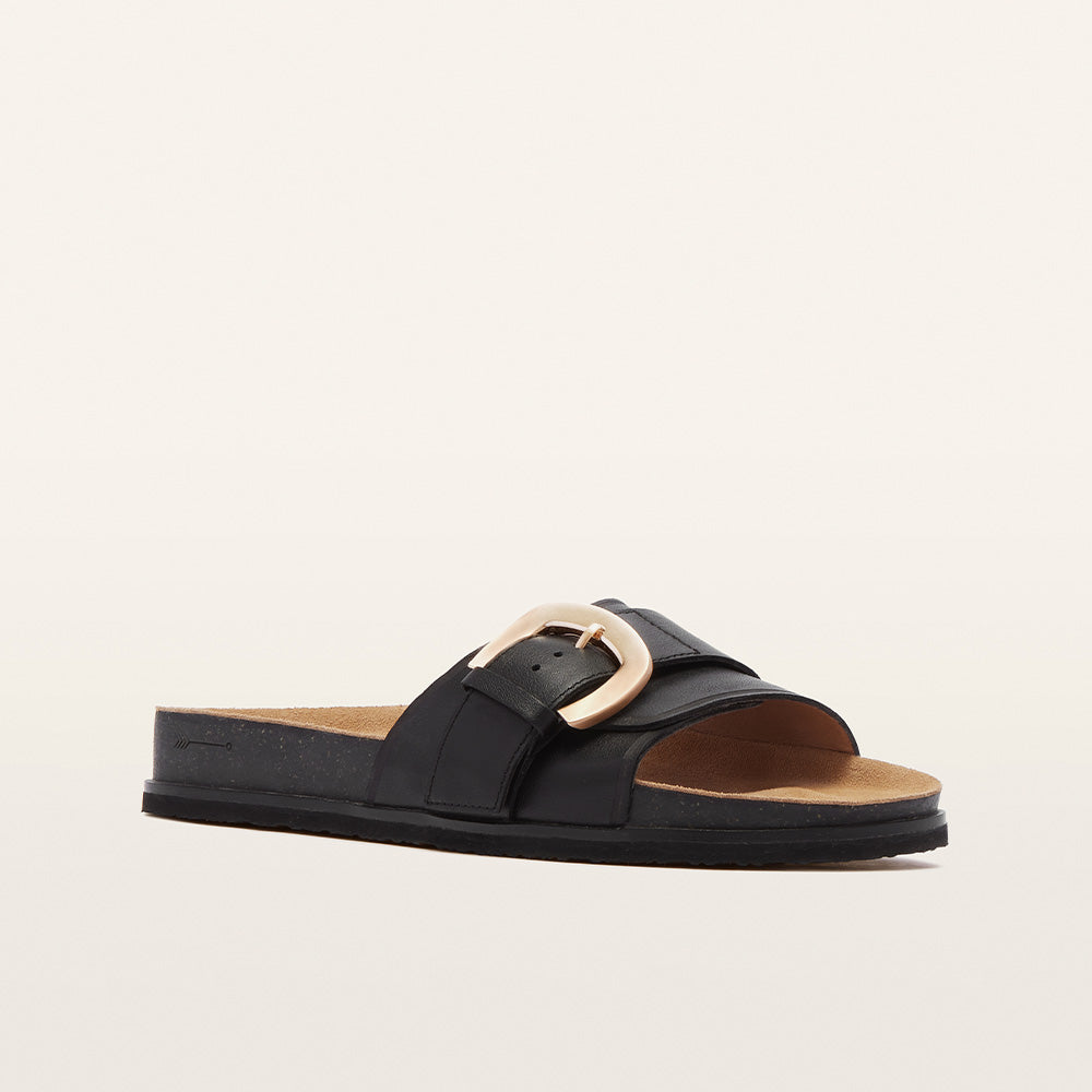 Monterey Black