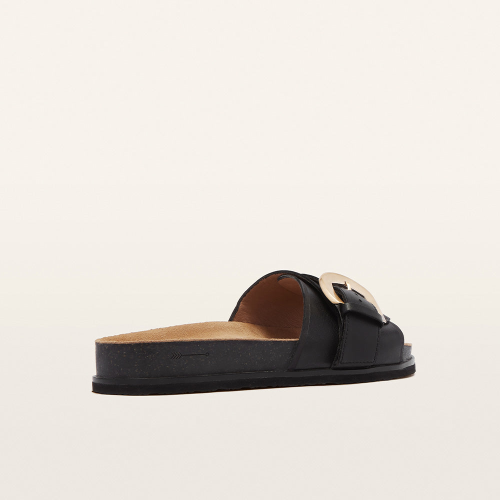 Monterey Black